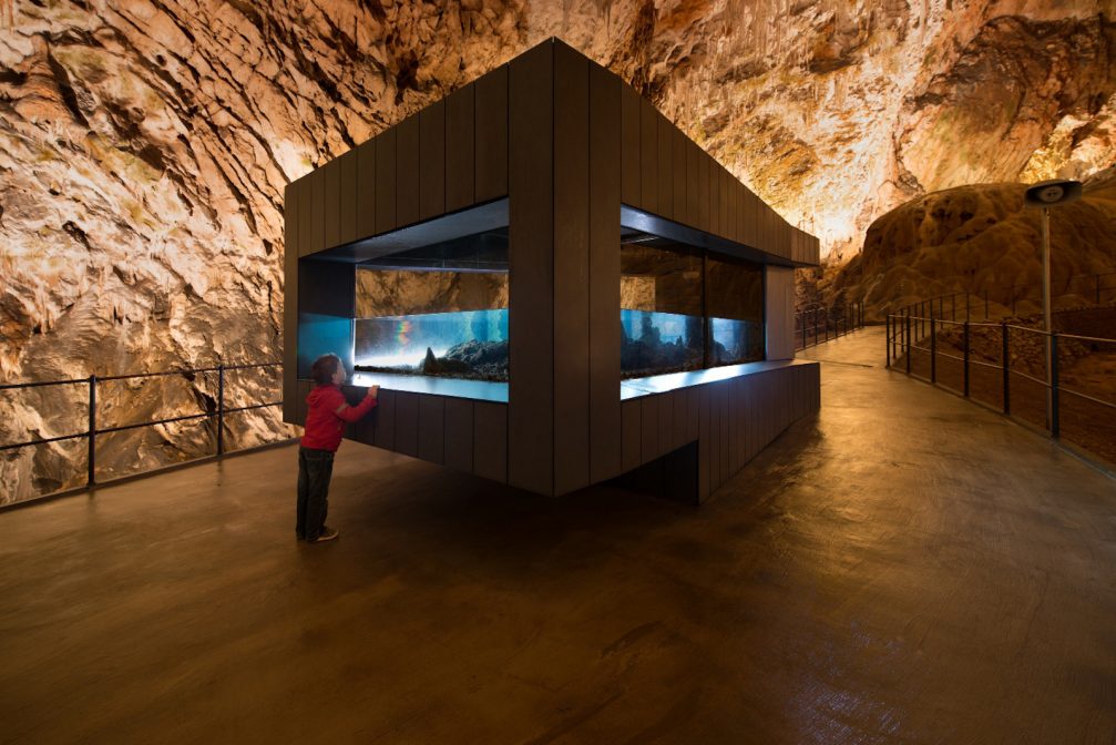 An aquarium inside the Postojna Cave in Slovenia