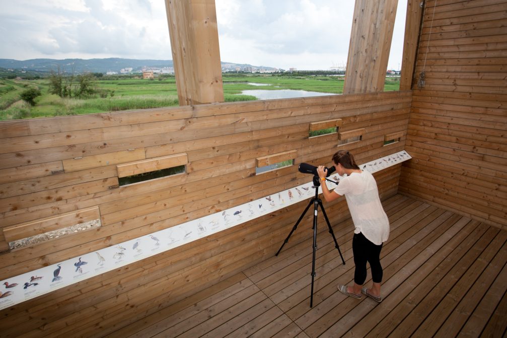 A bird hide in Skocjanski Zatok Nature Reserve in Koper, Slovenia