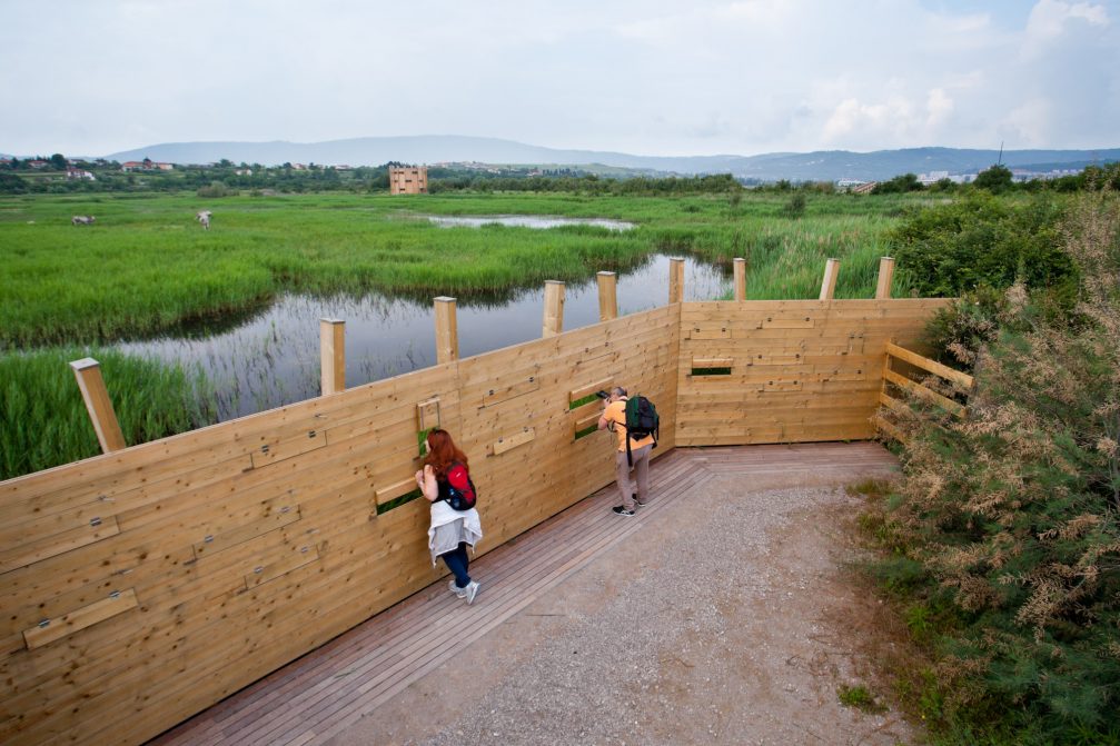 Bird observation in Skocjanski Zatok Nature Reserve in Koper, Slovenia