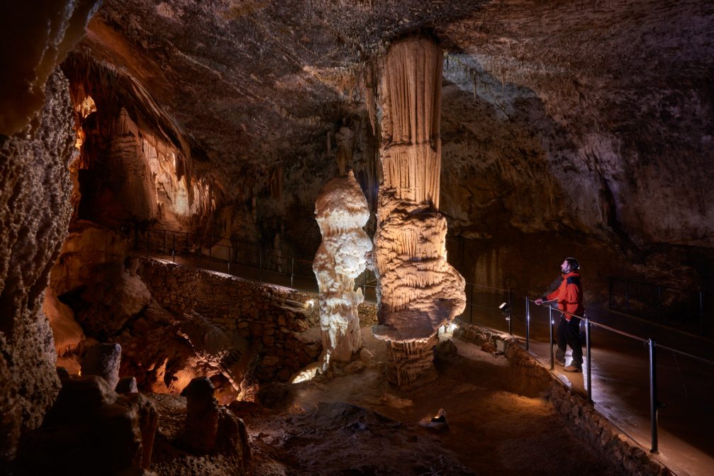 The brilliant stalagmite in the Postojna Cave in Slovenia