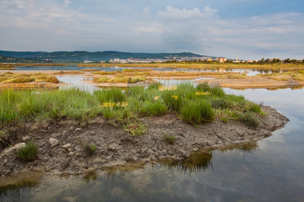 A shallow semi-enclosed lagoon in Skocjanski Zatok Nature Reserve in Koper, Slovenia