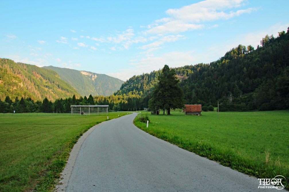 The green Radovna Valley in the Triglav National Park