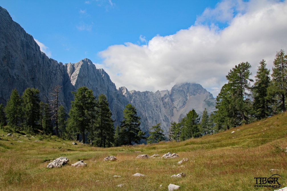 View of the Slemenova Spica mountain from the grassy Sleme plateau in the Triglav National Park