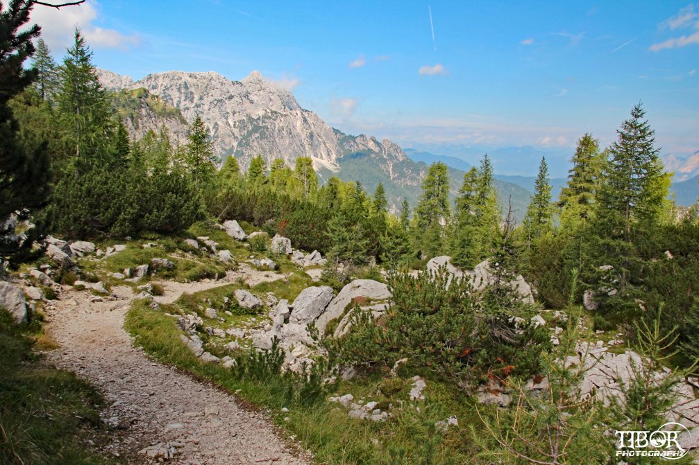 A hiking path in Triglav National Park with an elevated view of the Tamar Valley