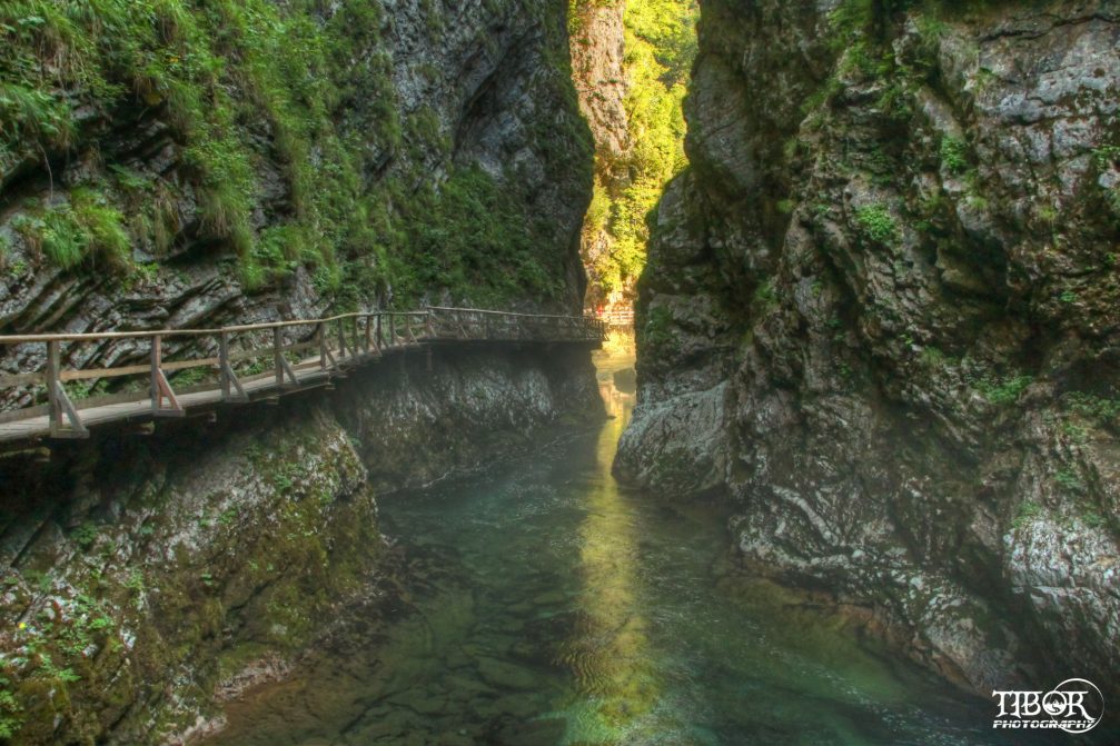 Vintgar Gorge in the Bled area in the Triglav National Park