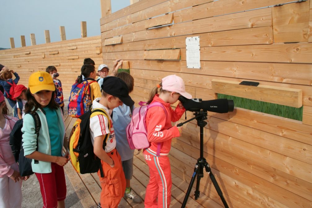 A group of children observing birds from the observation tower in Skocjanski Zatok Nature Reserve in Koper, Slovenia