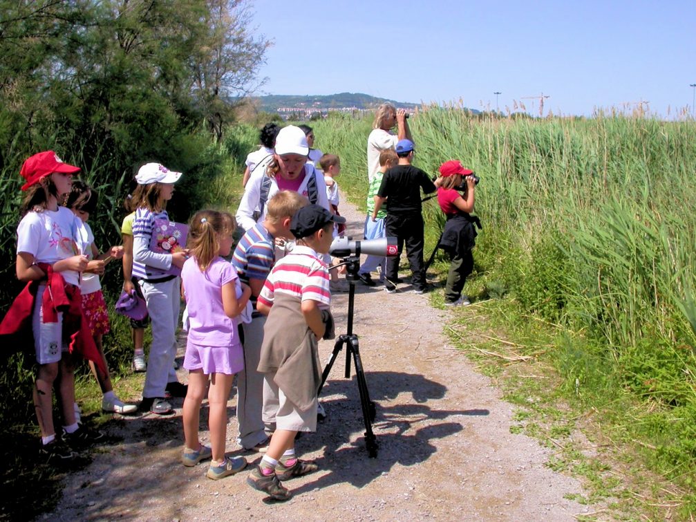 A group of children observing birds and other wildlife in Skocjanski Zatok Nature Reserve in Koper, Slovenia