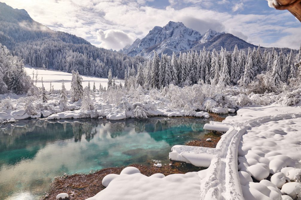 Zelenci Nature Reserve with a thick layer of snow in the winter