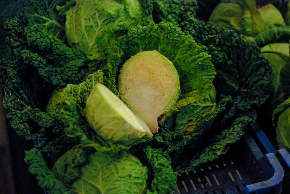 Sprouts in a shape of a heart