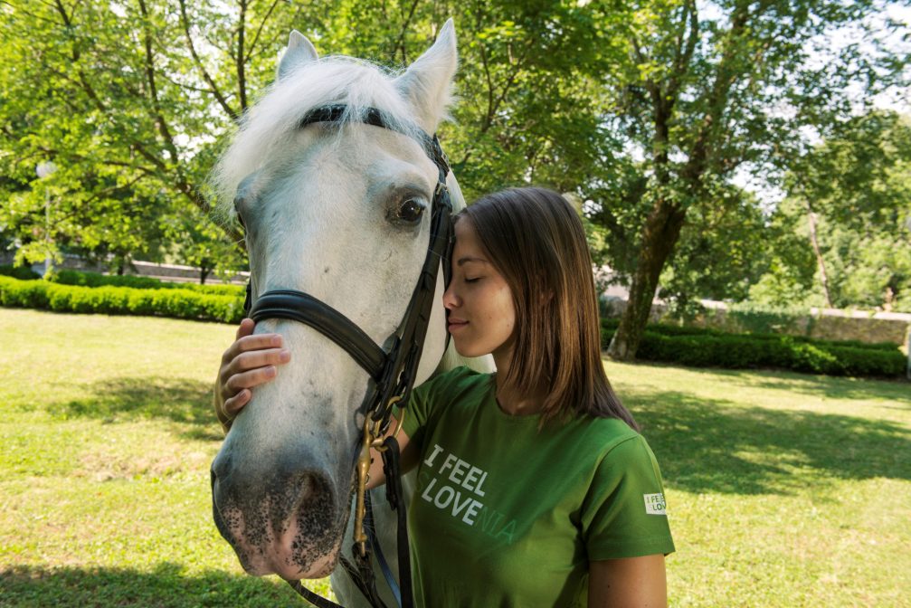 A girl with a I Feel Slovenia shirt holding the Lipizzan horse