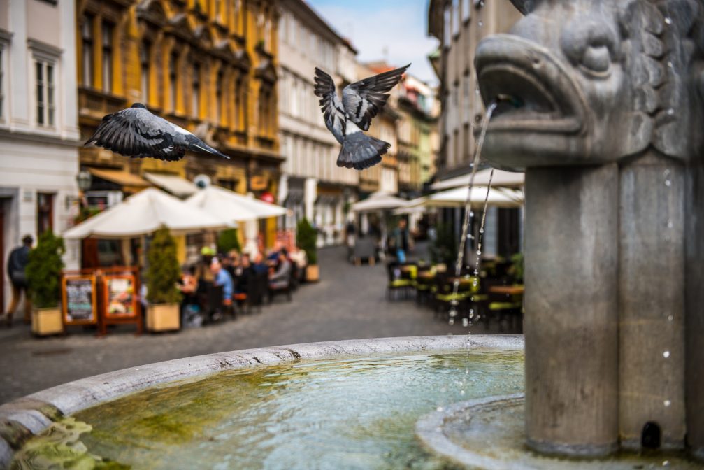 A street side cafes and restaurants in Ljubljana, the capital city of Slovenia