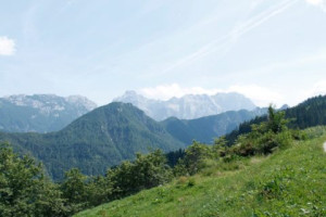 Logarska Dolina and Solcava panoramic road