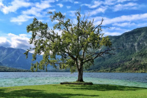 One day at Bohinj Lake, Slovenia