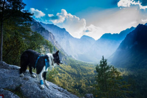 Slovenia Mountain Heart