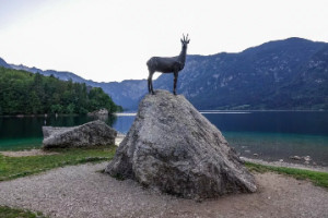 Treasures of Triglav National Park, Lake Bohinj