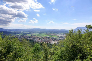 Caves, Castles and Baby Dragons, An Unusual View of Postojna