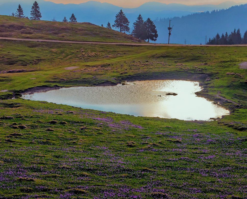 A heart-shaped puddle at Velika Planina