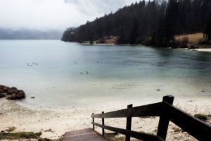 A Very Rainy Trip to Lake Bohinj