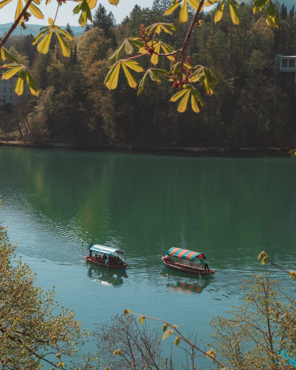 A couple of Pletna boats in Lake Bled, Slovenia