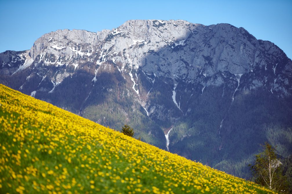 Spring in the Logarska Valley in Slovenia