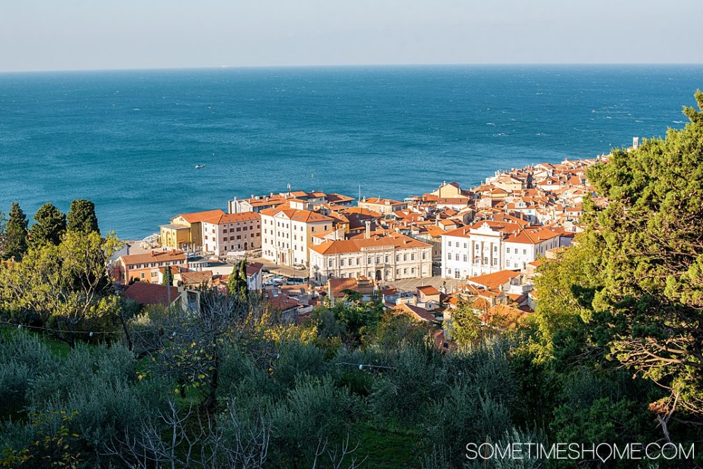 Panoramic view of coastal town of Piran and Adriatic Sea in Slovenia