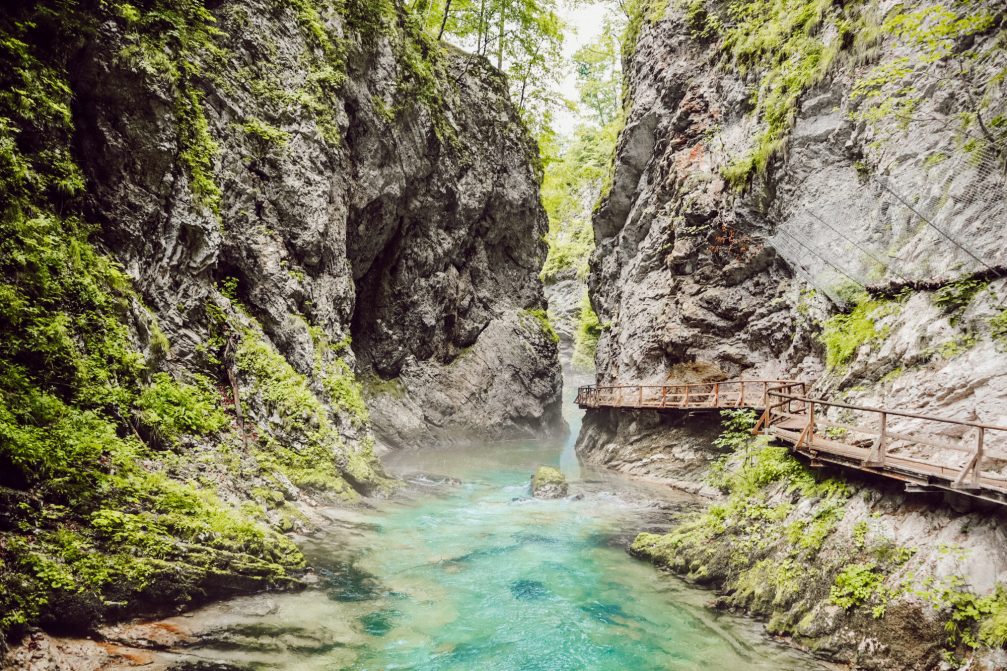 Vintgar Gorge in Slovenia, a canyon through which passes a beautiful Radovna river