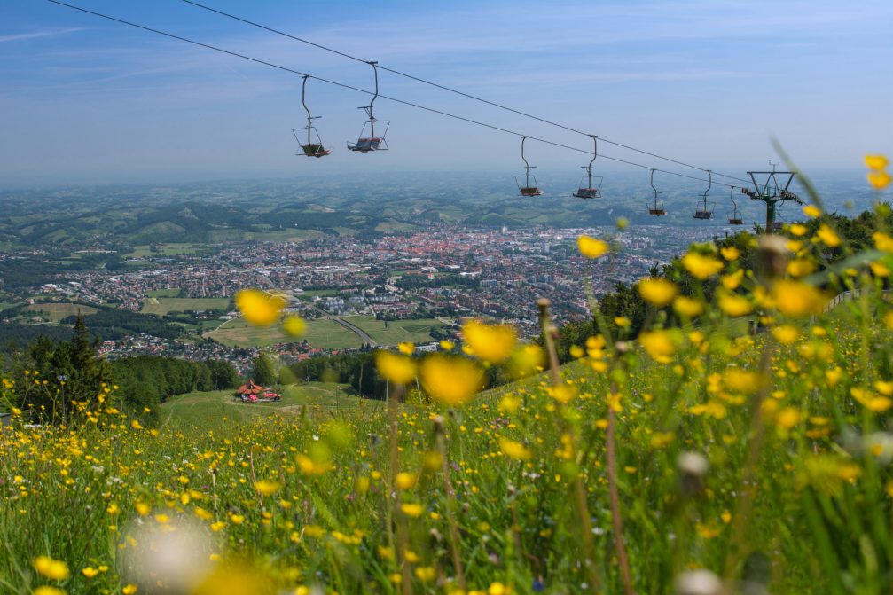 The green Maribor Pohorje Ski Resort in summer