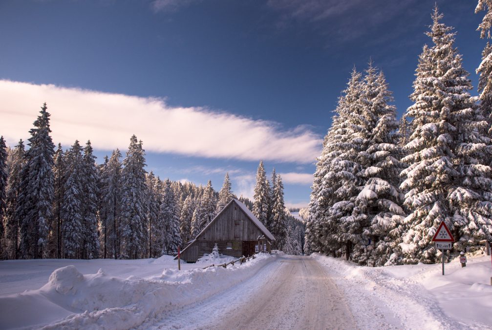 A road leading to Rogla Ski Resort in Slovenia