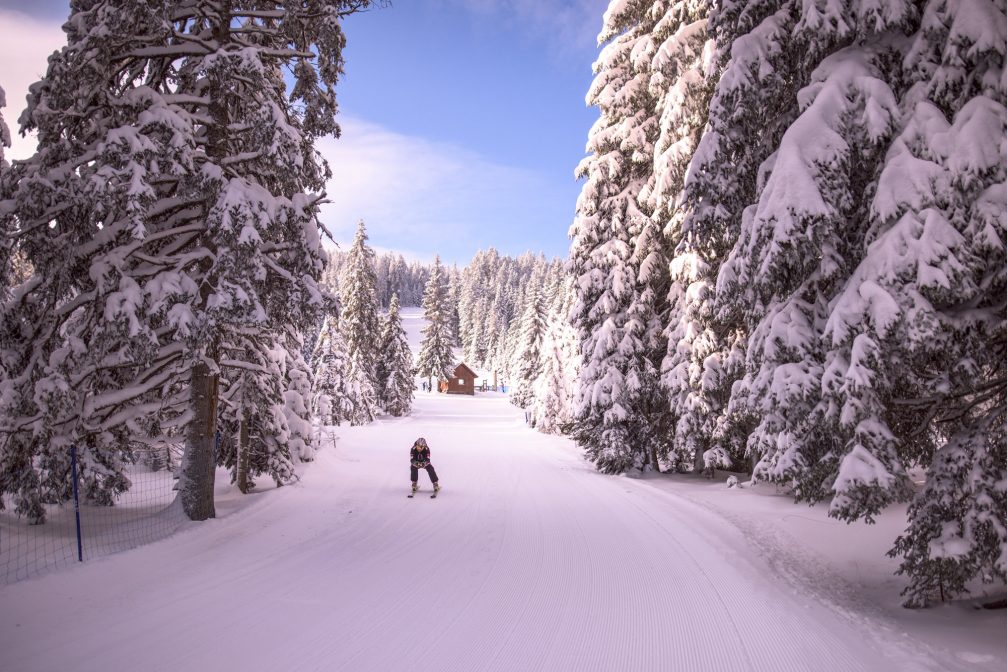 A well prepared ski runs at Rogla Ski Resort