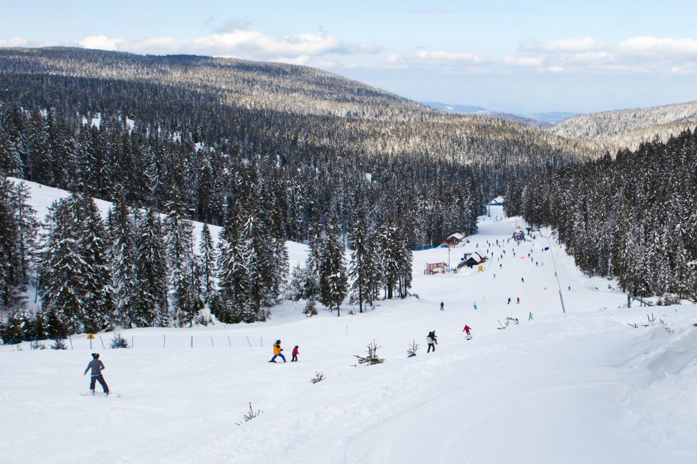 A group of skiers enjoying skiing holidays at Rogla Ski Resort in Slovenia