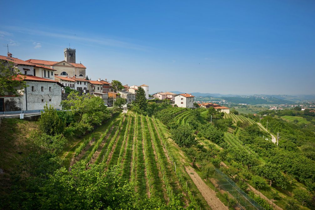 Goriska Brda wine region in Slovenia with its vineyards