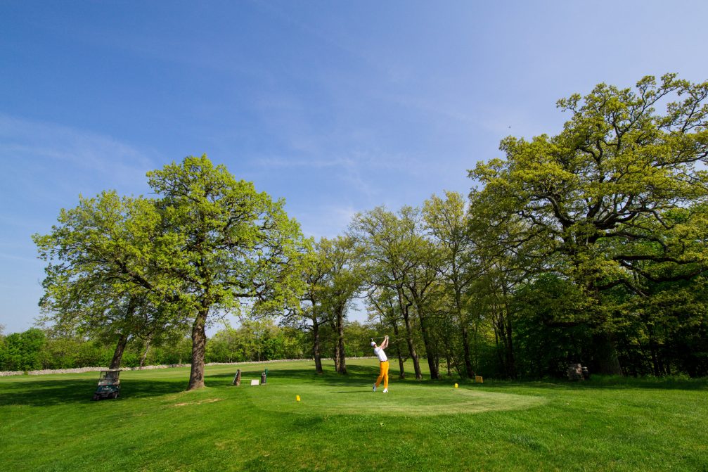 Golfer tee off at Lipica Golf Course in Slovenia