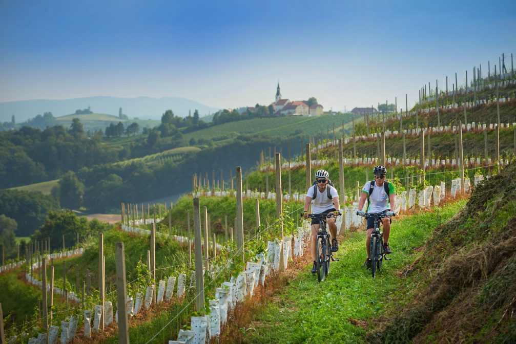 Jeruzalem Ljutomer wine road in Slovenia