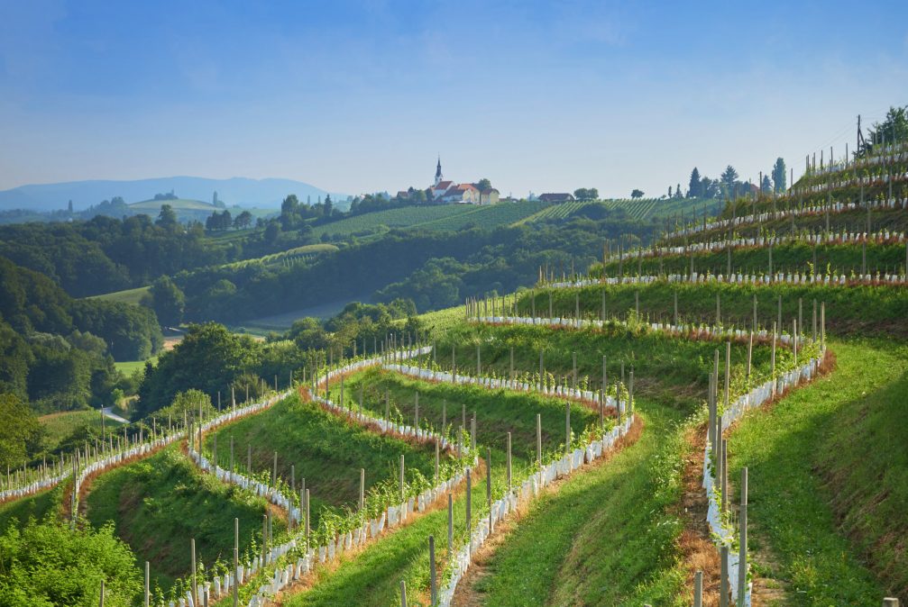 Jeruzalem, a scenic wine region in Slovenia