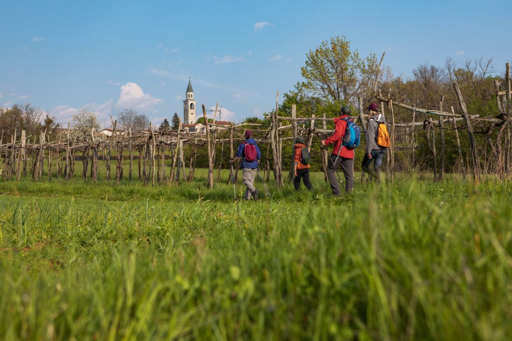 View of the Miren Kras landscape in southwestern Slovenia