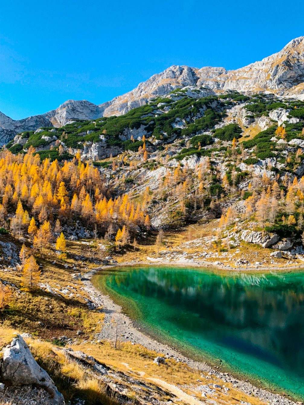 Ledvica Lake or Kidney Lake in Triglav Lakes Valley, part of Triglav National Park in Julian Alps in autumn