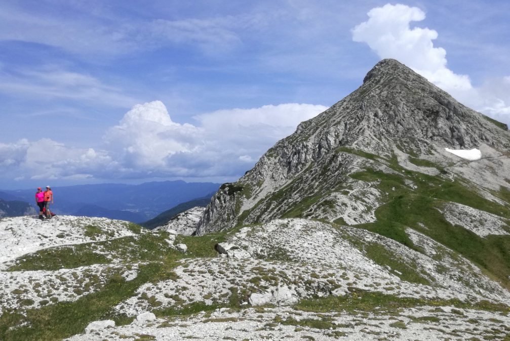 Mount Bogatin, a scenic mountain with views of the southwestern Julian Alps