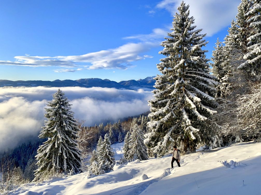 View from Galetovec, an indistinct peak at Pokljuka Plateau in winter