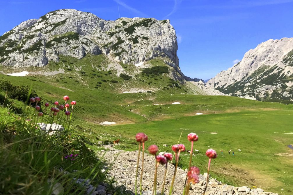 Mt. Lucki Dedec above Korosica on the edge of Dleskovska planota in Kamnik-Savinja Alps