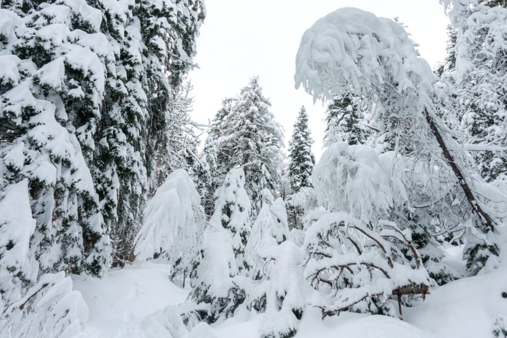 Slovenian Alps buried under heavy snow