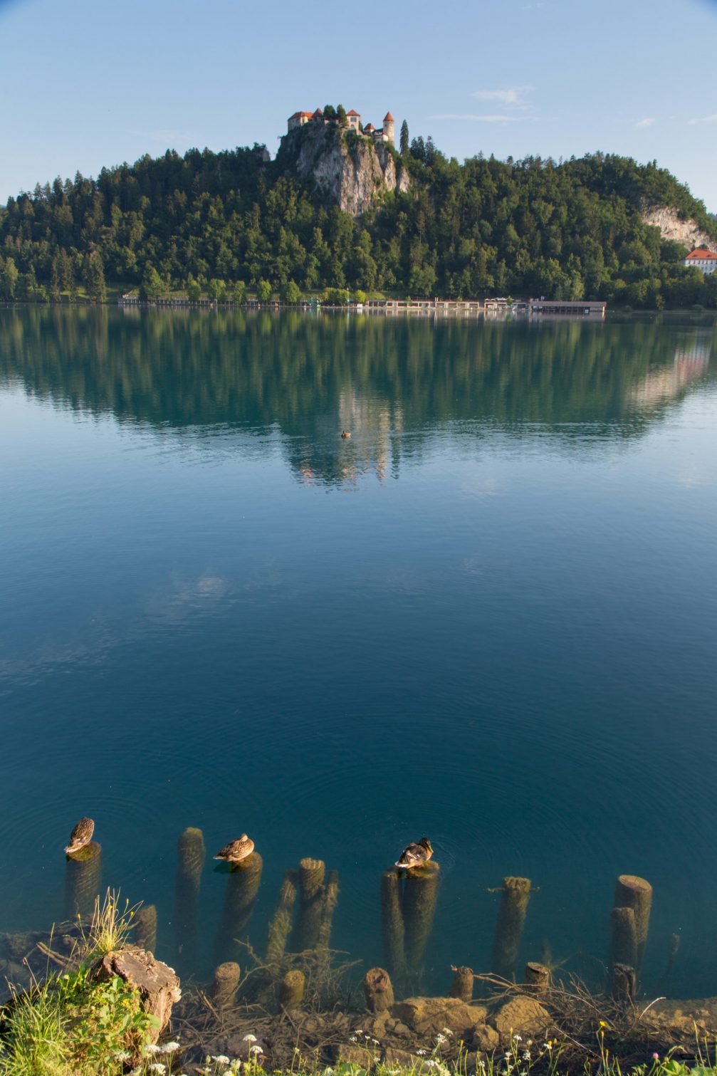 View over Lake Bled in Slovenia with Bled Castle atop a cliff in the background