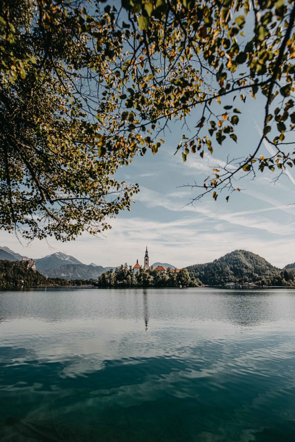 View of Bled Island in the middle of Lake Bled through the green tree branches