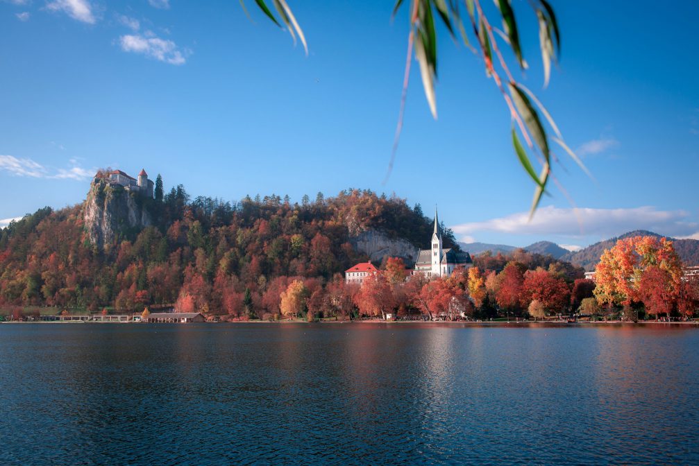 Lake Bled with the Church of St Martin in the background