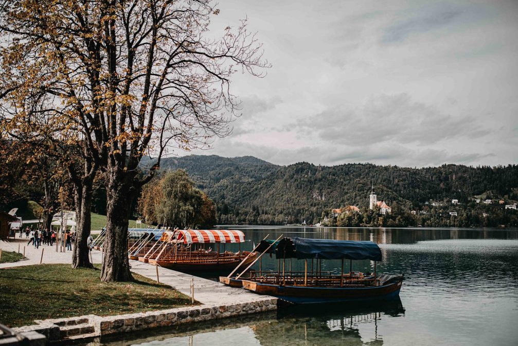 Traditional pletnas on Lake Bled in Slovenia