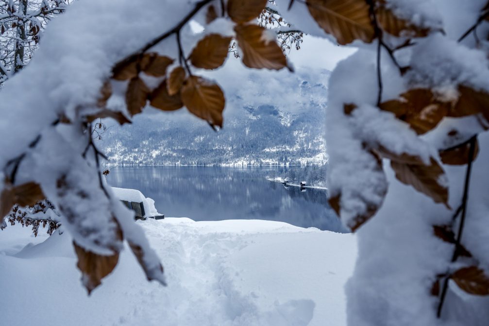 Aerial view of Lake Bohinj covered in snow the next day after snowfall