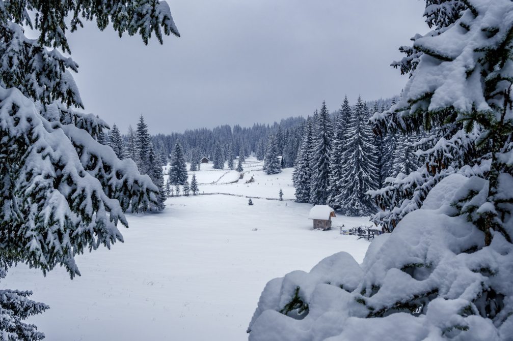 Bohinj Valley covered in snow the next day after snowfall