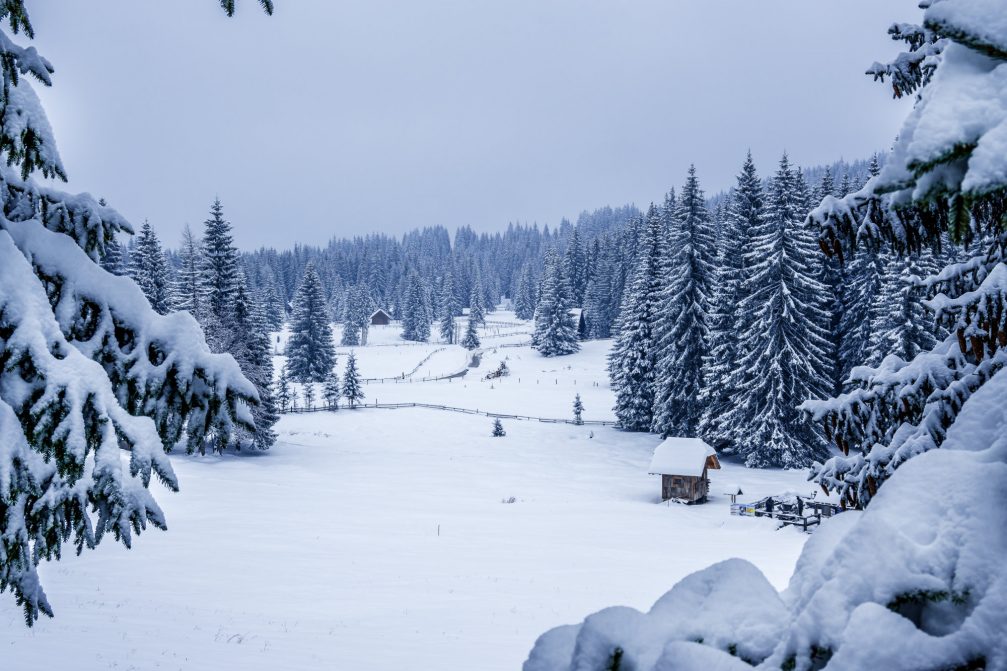 Bohinj Valley covered in snow the next day after snowfall