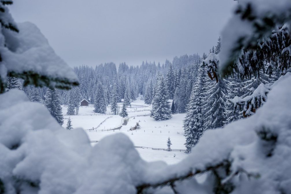 Bohinj Valley covered in snow the next day after snowfall