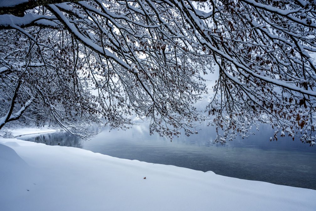 Lake Bohinj covered in snow the next day after snowfall