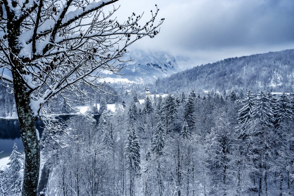 View of Lake Bohinj covered in snow the next day after snowfall